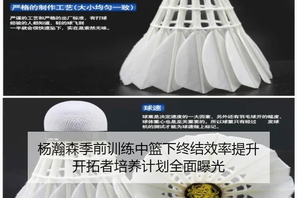 杨瀚森季前训练中篮下终结效率提升 开拓者培养计划全面曝光